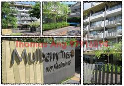 Mulberry Tree (D11), Apartment #89391822